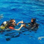 Scuba Diving in Alanya - Pricing and Value