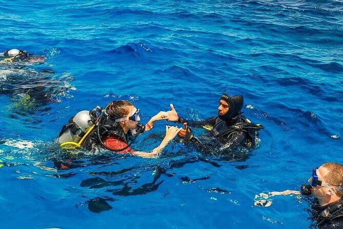 Scuba Diving in Alanya - Pricing and Value