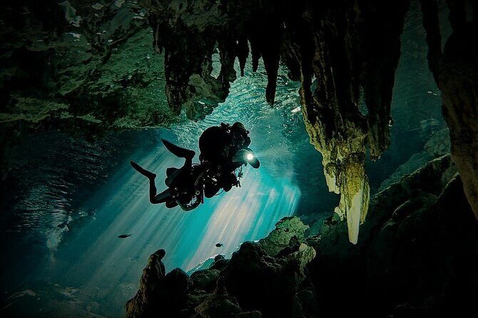 Scuba Diving in Cenote Dos Ojos from Playa del Carmen - What to Expect on the Tour