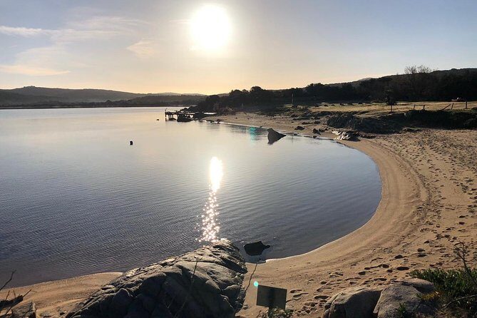 Scuba Diving in La Maddalena & Lavezzi Park for certified divers. - Planning Your Day