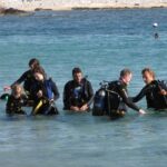 Scuba Diving in Naxos by Bluefindivers - Dive in Greece - Amazing Diving Spots - The Location and Meeting Details