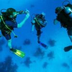 Scuba Diving Tour From Kusadasi / Selcuk - How About the Price?