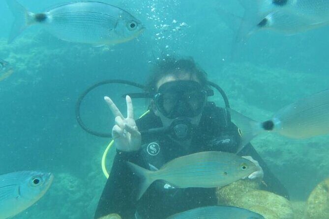 Scuba Diving Tour in Alanya - The Practical Aspects