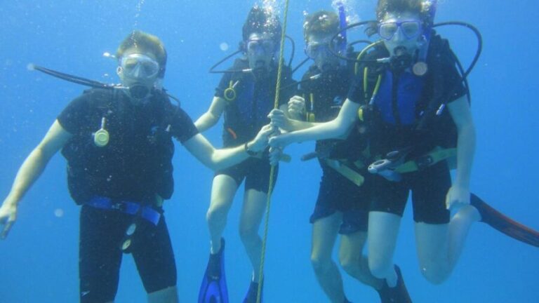 Scuba Diving Tour with Transfer From Alanya and city of Side - Pricing and Value