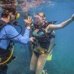Scuba Diving with a 5-Star PADI Center in Puerto Vallarta - The Authentic Voice of Travelers