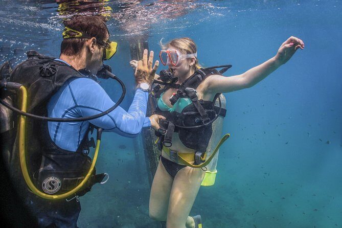 Scuba Diving with a 5-Star PADI Center in Puerto Vallarta - The Authentic Voice of Travelers