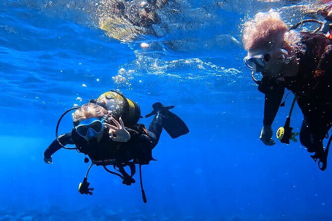 Scuba Experience in Tenerife with Guide - Equipment and Safety Measures