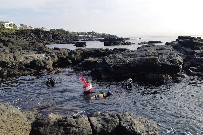 Scuba Experience - What to Expect Underwater