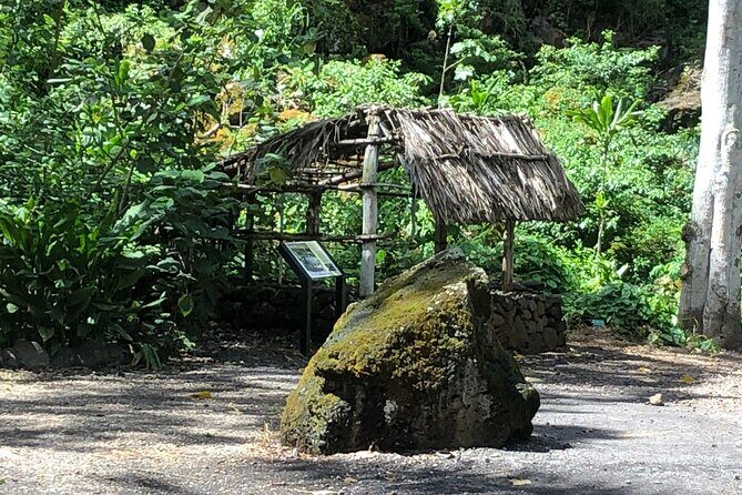 Sea / Eat & See The North Shore - Authentic Feedback from Travelers