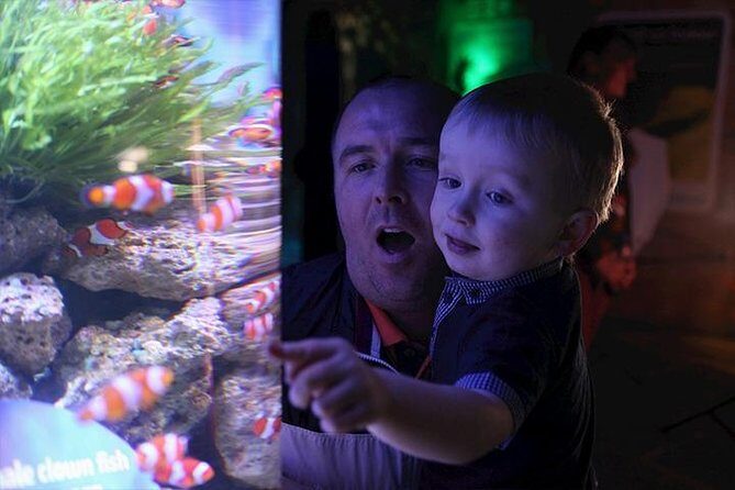 SEA LIFE Blackpool Admission Ticket - The Value of Your Ticket