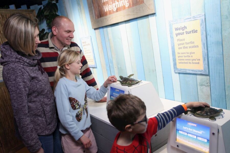 SEA LIFE Blackpool Entrance Ticket - The Highlights and Why They Matter