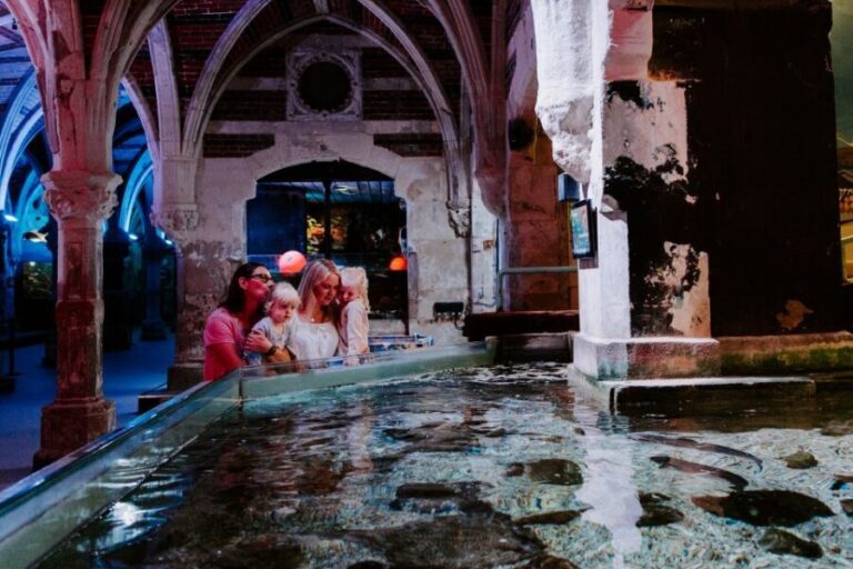 Sea Life Brighton Admission Ticket - Is It Worth the Price?