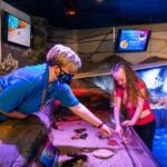 Sea Life Hunstanton - What Visitors Say