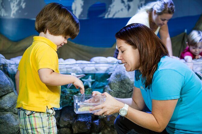 SEA LIFE Kansas City Aquarium Admission Ticket - Practical Tips for Visiting