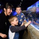 SEA LIFE London Aquarium Admission Ticket - The Realities of Visiting