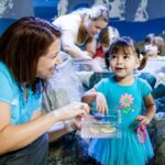 SEA LIFE Michigan Aquarium Admission Ticket - Final Thoughts
