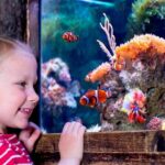 SEA LIFE Oberhausen Admission Ticket - The Value of the Experience