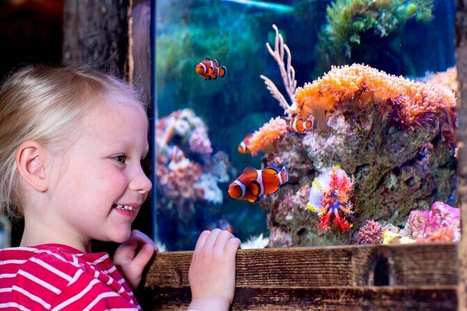 SEA LIFE Oberhausen Admission Ticket - The Value of the Experience