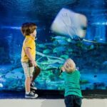 SEA LIFE Orlando Aquarium - Price and Value: Is It Worth It?