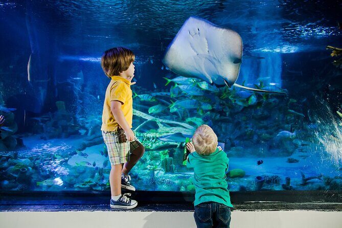 SEA LIFE Orlando Aquarium - Price and Value: Is It Worth It?