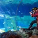 SEA LIFE Porto Full-Day Entrance Ticket - What’s in Store at SEA LIFE Porto