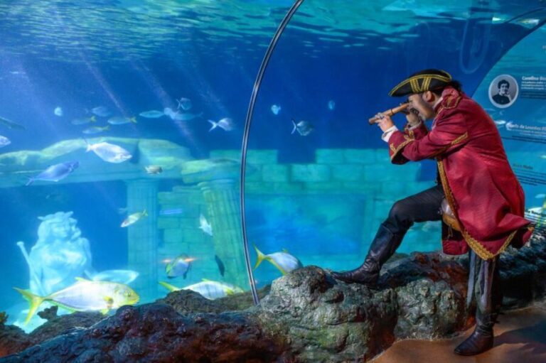 SEA LIFE Porto Full-Day Entrance Ticket - What’s in Store at SEA LIFE Porto
