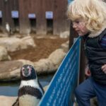 Sea Life Scarborough - What’s the Value?