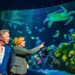 SEA LIFE Timmendorfer Strand Ticket - Who Should Consider Visiting?