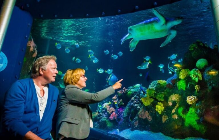 SEA LIFE Timmendorfer Strand Ticket - Who Should Consider Visiting?