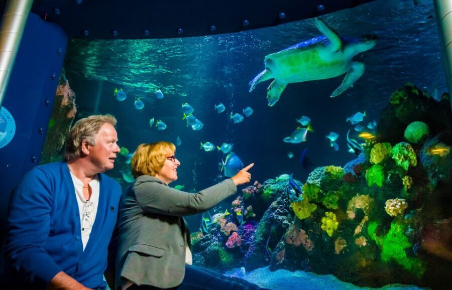 SEA LIFE Timmendorfer Strand Ticket - Who Should Consider Visiting?