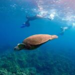 Sea Scooter Snorkeling Guided Tour - Wailea Beach - Final Thoughts