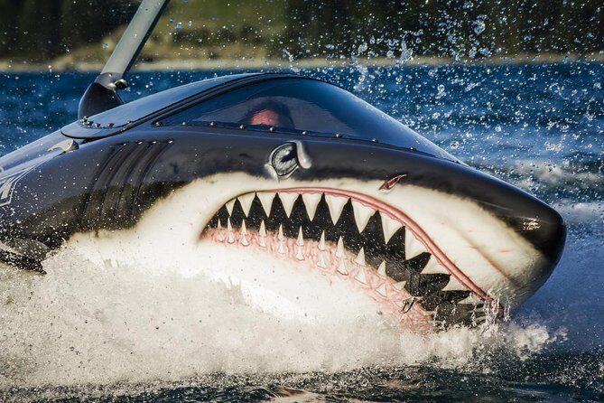 Seabreacher Ride in Cancun - What Travelers Are Saying