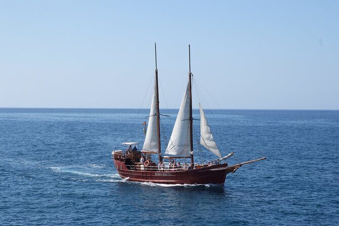 Sealife Dolphin & Whale Watching aboard Portuguese schooner - What You Can Expect from the Tour