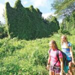 Secret Falls Kayak and Hike in Kauai - Why the Guides Make a Difference