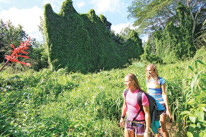 Secret Falls Kayak and Hike in Kauai - Why the Guides Make a Difference