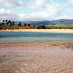 Secret Kauai Canyons & Coastlines Tour - Is This Tour Right for You?