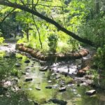 Secret Places of Central Park - Practical Details & What You Should Know