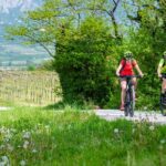Secret vineyards E-bike tour - Why This Tour Works Well