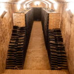 Secrets of Dorado Wine - The Sum Up: Who Will Love the Secrets of Dorado Wine?