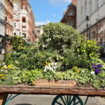 Secrets of London Covent Garden & Rules Restaurant Tour - Deep Dive Into the Itinerary