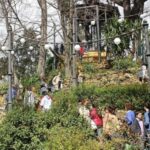 Secrets of Maria Luisa Park and Plaza de Espana - What Makes This Tour Stand Out