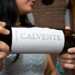 Secrets of Wine: Immersion in the Winery and Professional Tasting - The Itinerary Breakdown