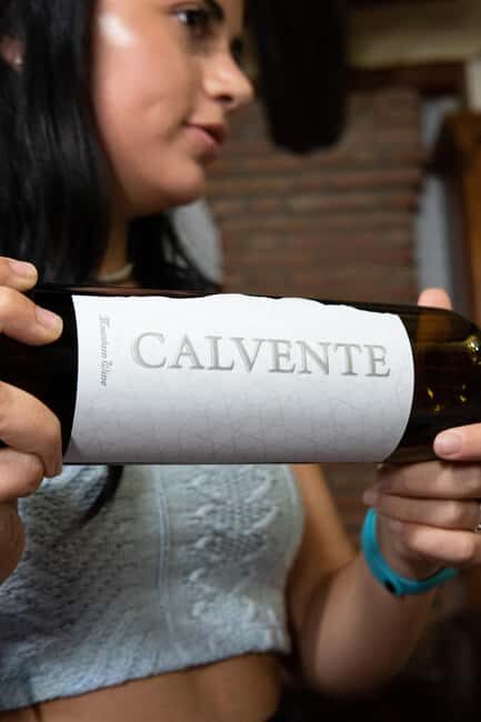 Secrets of Wine: Immersion in the Winery and Professional Tasting - The Itinerary Breakdown