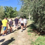 Seggiano: Guided Tour of the Olive Grove and Food Tasting - What to Expect from the Tour
