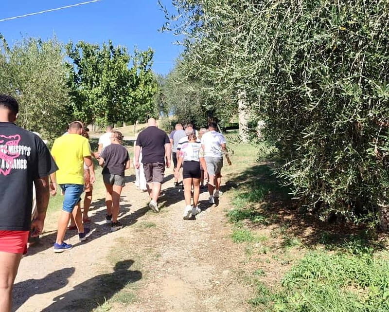 Seggiano: Guided Tour of the Olive Grove and Food Tasting - What to Expect from the Tour