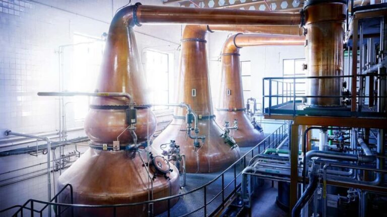 Segovia: Guided tour of the DYC Distillery with whiskey tasting - What Travelers Are Saying