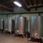 Segovia: Winery Tour with Wine Tasting - Group Size and Accessibility