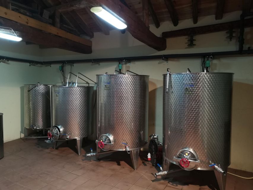 Segovia: Winery Tour with Wine Tasting - Group Size and Accessibility