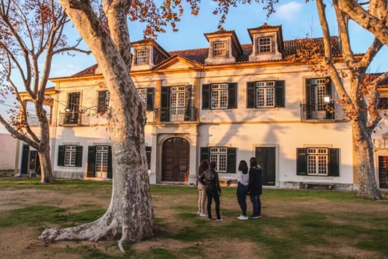 Seixal: Guided Walking Tour with Pastel de Nata - A Deep Dive into the Experience