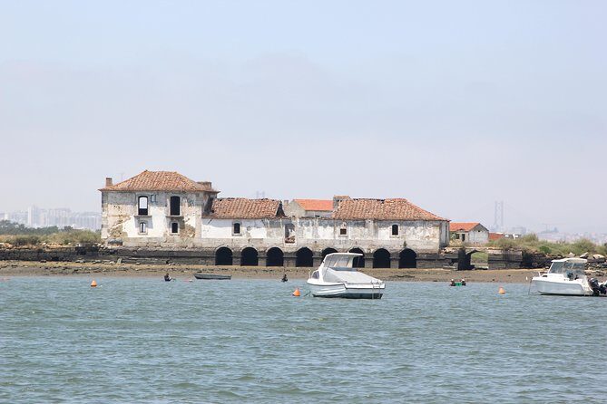 Seixal Sailing Cruise - Lunch in a typical restaurant - Who Is This Tour Best For?